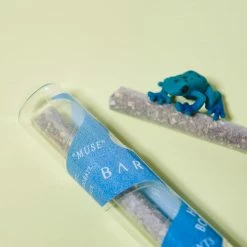 Barbari Muse C_D Prerolls