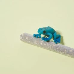 Promo 🛒 Barbari Muse C_D Prerolls ❤️ 15 Barbari Muse C_D Prerolls