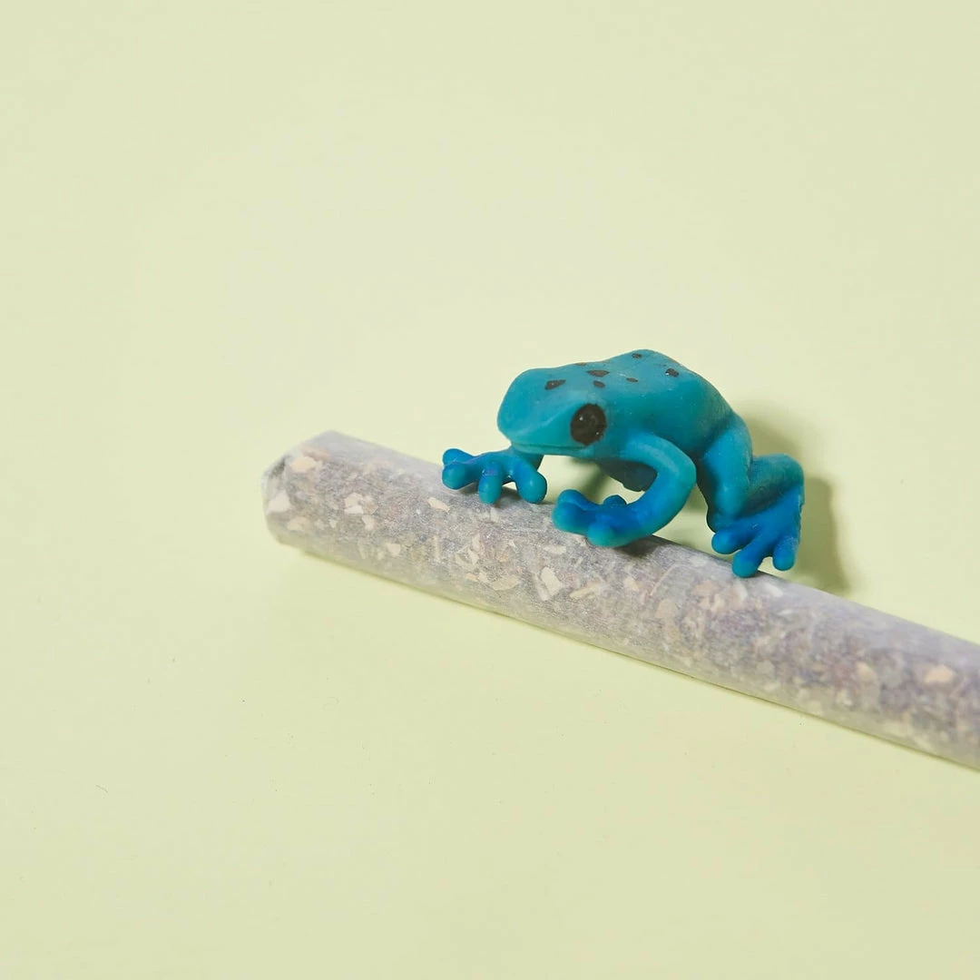 Promo 🛒 Barbari Muse C_D Prerolls ❤️ 8 Barbari Muse C_D Prerolls