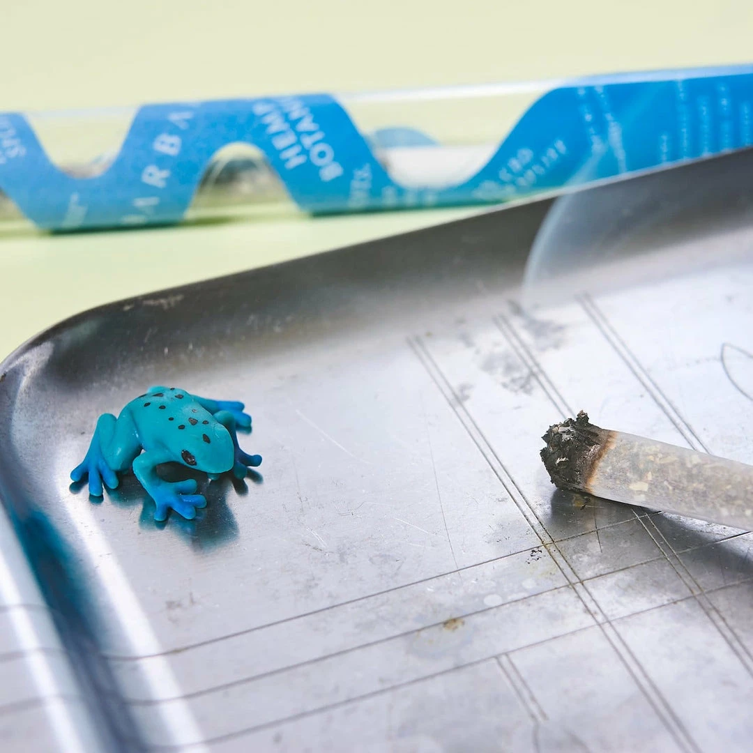 Promo 🛒 Barbari Muse C_D Prerolls ❤️ 10 Barbari Muse C_D Prerolls