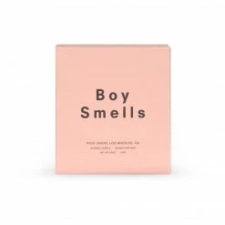$50 OR LESS Boy Smells Candle - LES
