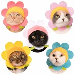 Misc. Cat Cap Flower Hat