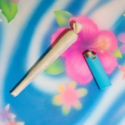 New 🔔 Misc. Catnip Joint 🌟 10 Misc. Catnip Joint