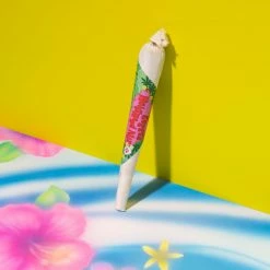 New 🔔 Misc. Catnip Joint 🌟 9 Misc. Catnip Joint