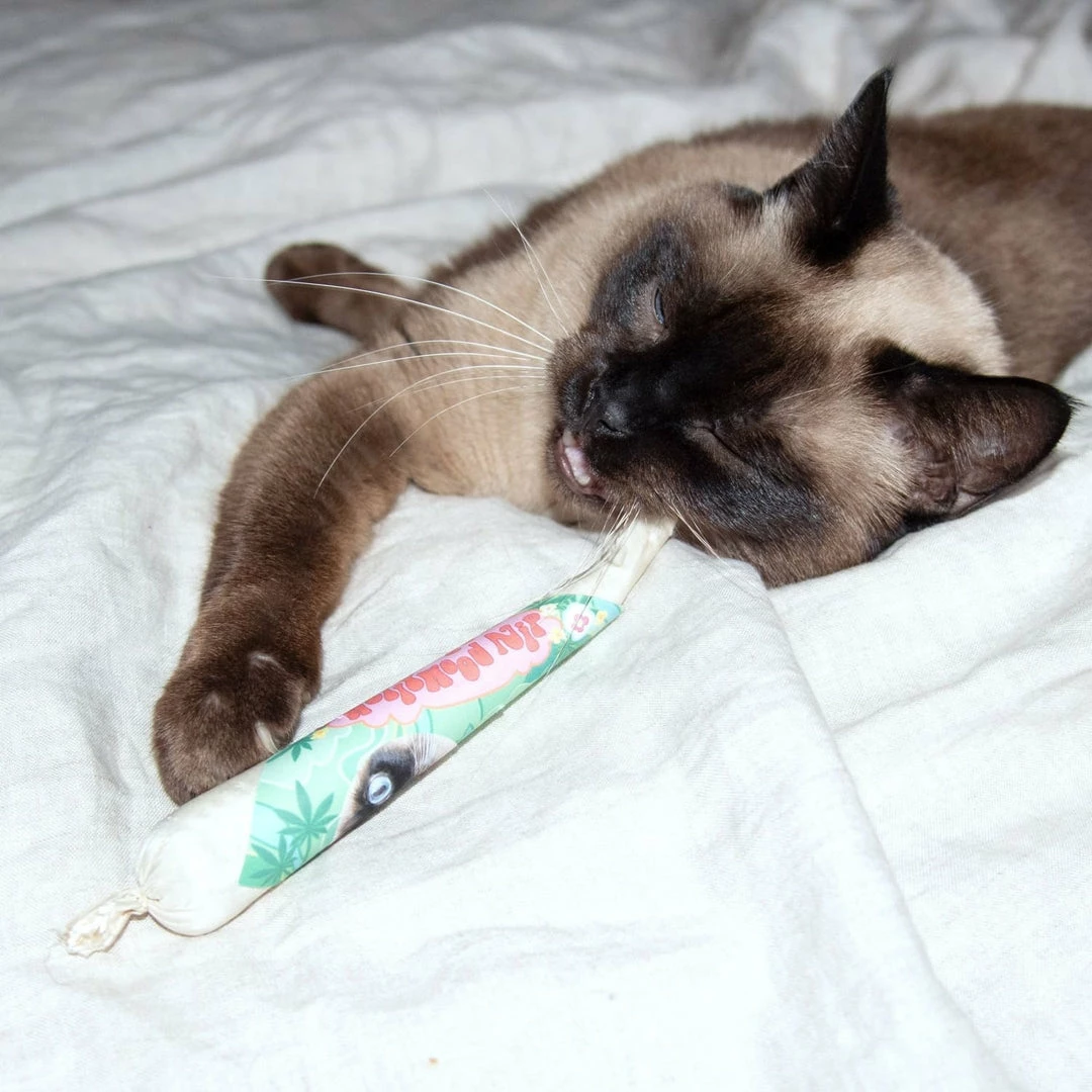 New 🔔 Misc. Catnip Joint 🌟 4 Misc. Catnip Joint