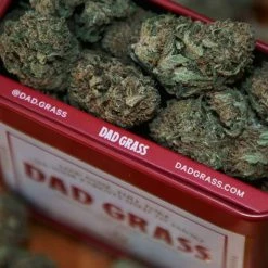 Dad Grass CBD Hemp Flower Quarter Oz $50 OR LESS