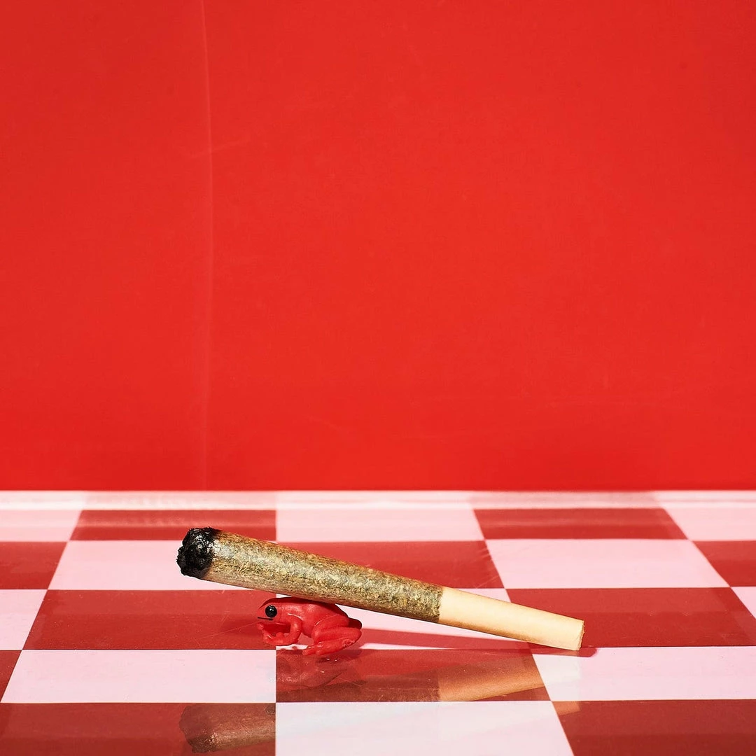 Flash Sale ๐คฉ Dad Grass Prerolls - 5 Pack $50 OR LESS โ 9 Dad Grass Prerolls - 5 Pack $50 OR LESS