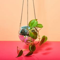 Dado Disco Ball Plant Hanger $50 OR LESS