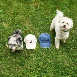 Friends NYC $50 OR LESS Doggy Dad Hat