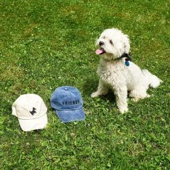 Friends NYC $50 OR LESS Doggy Dad Hat