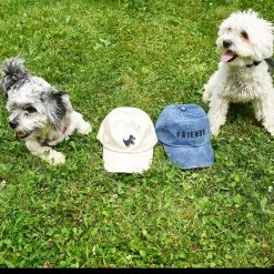 Friends NYC $50 OR LESS Doggy Dad Hat