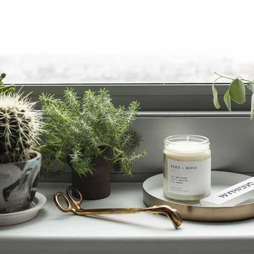 Flash Sale 🔥 Brooklyn Candle Company $50 OR LESS Fern + Moss Soy Wax Candle 🎁 4 Brooklyn Candle Company $50 OR LESS Fern + Moss Soy Wax Candle