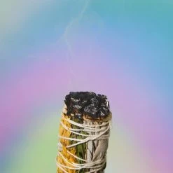 Misc. Floral Sage Bundle - Sunflower $10 Or Less