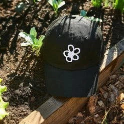 Top 10 ๐งจ Friends NYC $50 OR LESS Friends X Stems Flower Dad Hat โค๏ธ 19 Friends NYC $50 OR LESS Friends X Stems Flower Dad Hat