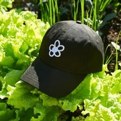 Top 10 ๐งจ Friends NYC $50 OR LESS Friends X Stems Flower Dad Hat โค๏ธ 13 Friends NYC $50 OR LESS Friends X Stems Flower Dad Hat