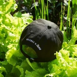 Top 10 ๐งจ Friends NYC $50 OR LESS Friends X Stems Flower Dad Hat โค๏ธ 18 Friends NYC $50 OR LESS Friends X Stems Flower Dad Hat