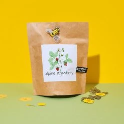 Potting Shed Garden In A Bag - Alpine Strawberry $20 OR LESS!