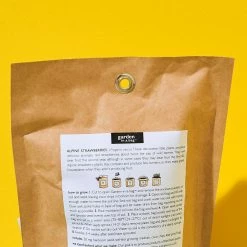 Potting Shed Garden In A Bag - Alpine Strawberry $20 OR LESS!