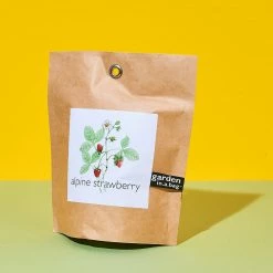 Potting Shed Garden In A Bag - Alpine Strawberry $20 OR LESS!