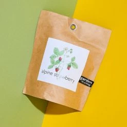 Potting Shed Garden In A Bag - Alpine Strawberry $20 OR LESS!