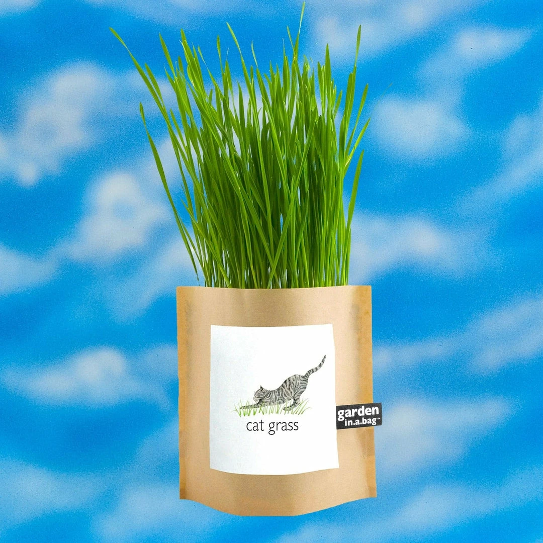 Coupon ๐ Potting Shed Garden In A Bag - Cat Grass $20 OR LESS! ๐งจ 4 Potting Shed Garden In A Bag - Cat Grass $20 OR LESS!