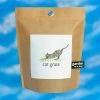 Potting Shed Garden In A Bag - Cat Grass $20 OR LESS!
