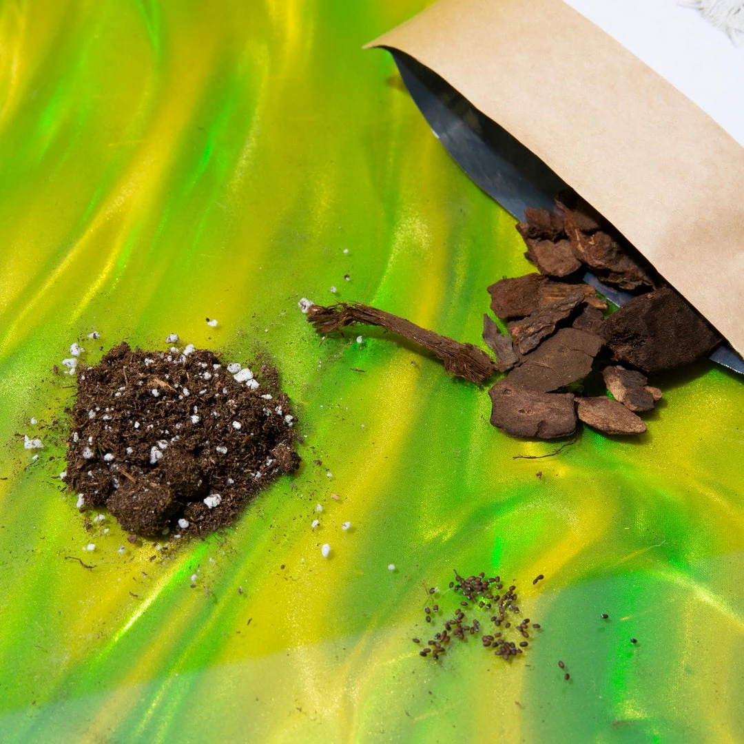 Hot Sale 👍 Misc. Garden In A Bag - Catnip $20 OR LESS! 🥰 4 Misc. Garden In A Bag - Catnip $20 OR LESS!