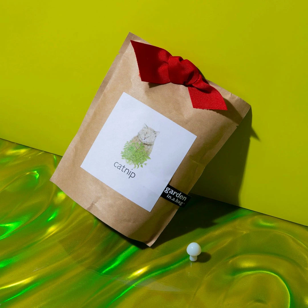 Hot Sale 👍 Misc. Garden In A Bag - Catnip $20 OR LESS! 🥰 3 Misc. Garden In A Bag - Catnip $20 OR LESS!
