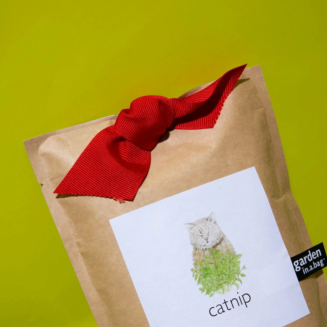 Hot Sale 👍 Misc. Garden In A Bag - Catnip $20 OR LESS! 🥰 7 Misc. Garden In A Bag - Catnip $20 OR LESS!