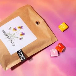 Potting Shed $20 OR LESS! Garden In A Bag - Happy Birthday