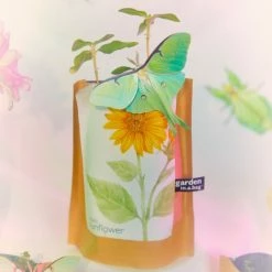 Misc. Garden In A Bag - Sunflower
