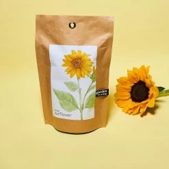 Misc. Garden In A Bag - Sunflower