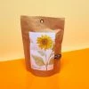 Misc. Garden In A Bag - Sunflower