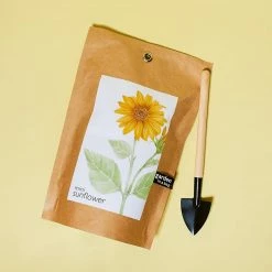 Misc. Garden In A Bag - Sunflower