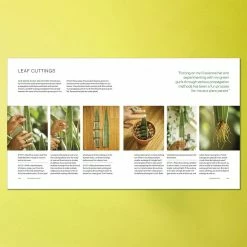 Promo ๐ Harper Collins You Grow, Gurl!: Plant Kween's Lush Guide To Growing Your Garden ๐ 13 Harper Collins You Grow, Gurl!: Plant Kween's Lush Guide To Growing Your Garden