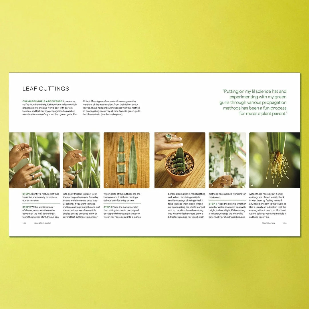 Promo ๐ Harper Collins You Grow, Gurl!: Plant Kween's Lush Guide To Growing Your Garden ๐ 8 Harper Collins You Grow, Gurl!: Plant Kween's Lush Guide To Growing Your Garden