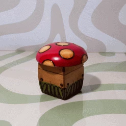 Misc. $50 OR LESS Handmade Mushroom Box