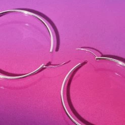 Misc. Sale Large Hoop Earrings