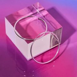 Misc. Sale Large Hoop Earrings