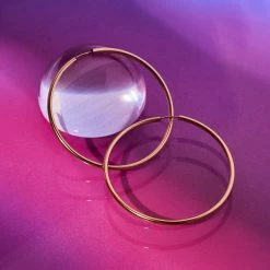 Misc. Sale Large Hoop Earrings