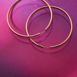 Misc. Sale Large Hoop Earrings