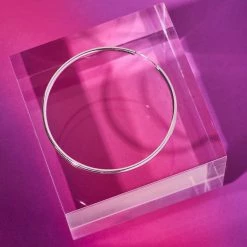 Misc. Sale Large Hoop Earrings