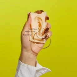 Misc. Sale Large Hoop Earrings