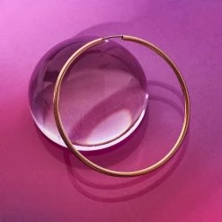 Misc. Sale Large Hoop Earrings