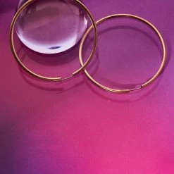 Misc. Sale Large Hoop Earrings