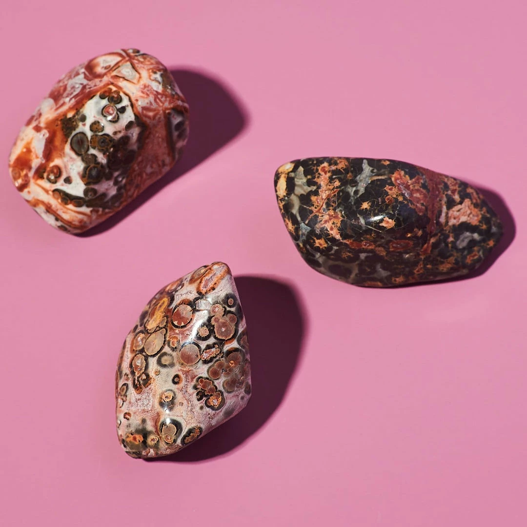 Discount π€© Misc. Leopard Jasper - Small Crystal π€© 5 Misc. Leopard Jasper - Small Crystal