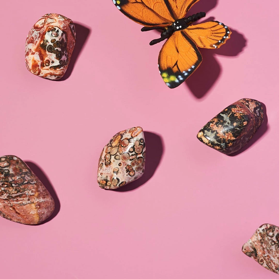 Discount π€© Misc. Leopard Jasper - Small Crystal π€© 4 Misc. Leopard Jasper - Small Crystal