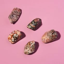 Discount π€© Misc. Leopard Jasper - Small Crystal π€© 9 Misc. Leopard Jasper - Small Crystal