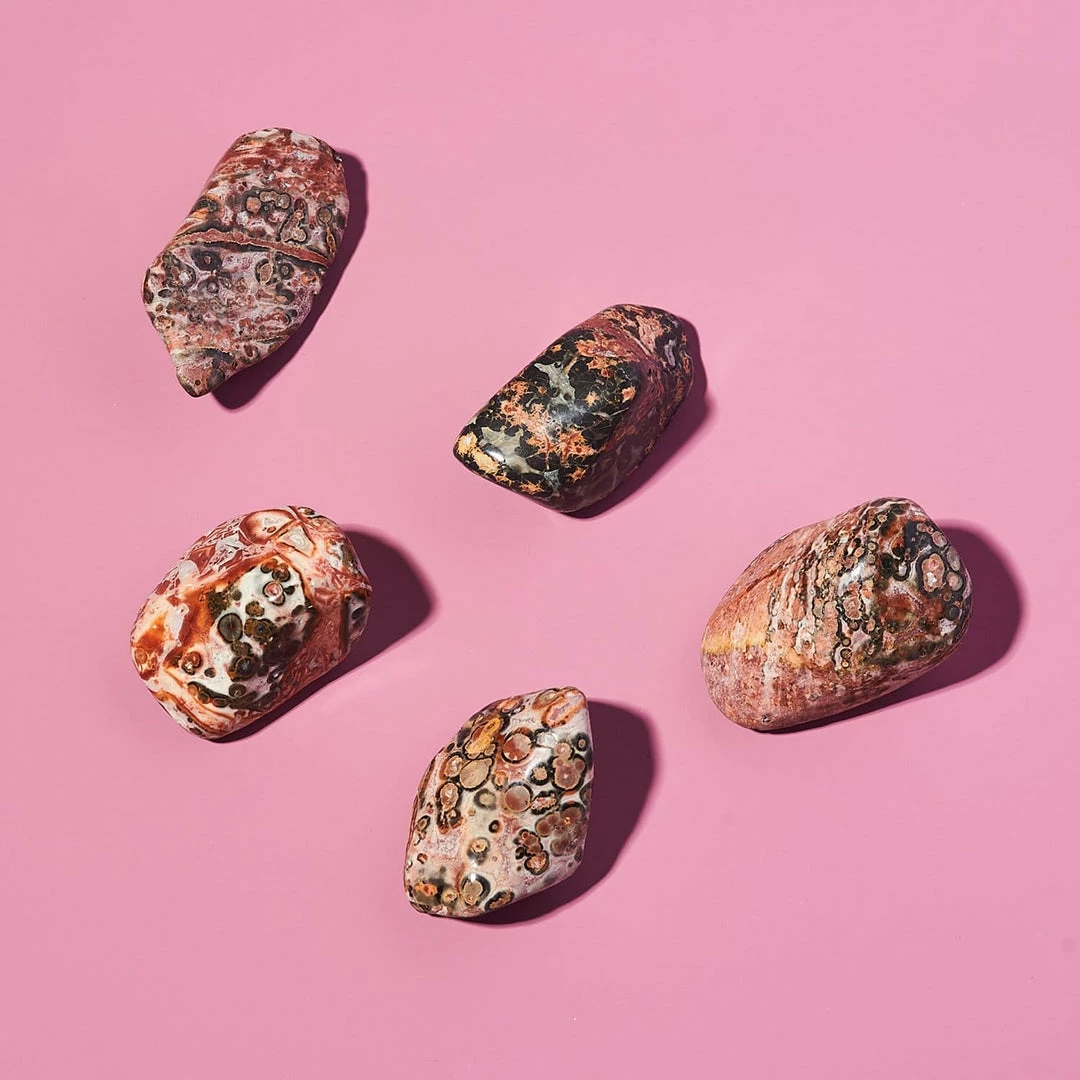 Discount π€© Misc. Leopard Jasper - Small Crystal π€© 6 Misc. Leopard Jasper - Small Crystal