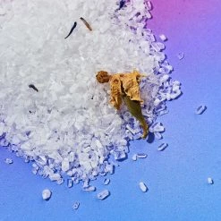 Deals π Lovewild $10 Or Less Mexican Moon Bath Salts π― 11 Lovewild $10 Or Less Mexican Moon Bath Salts